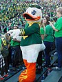 Oregon Duck