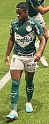 Endrick-Palmeiras-bragantino-fev2023-2.jpg