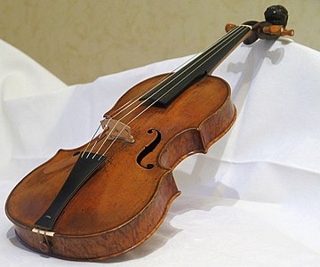 Violin