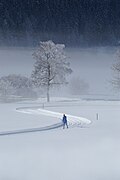 Cross country skier in Tirol landscape