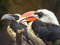 male in front, female behind