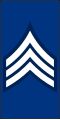 Infantry Dress Sergeant