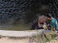 In Jerusalem ZOO