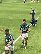 Palmeiras-bragantino-fev2023-02.jpg