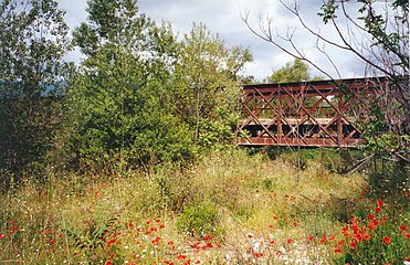 Die gleiche Bruecke von der Macchia ueberwuchert