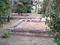 Citta' etrusca-etruscan city