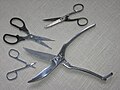 scissors for manicure (smallest), home scissors and for chickens (largest)