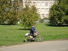 Fastovetskaya-old biker.jpg