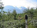 Hiking on the Padjelantaleden