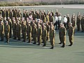 Silver Beret of the Israel Engineering Corps