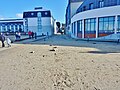 La rue des Professeurs Curie envahie par le sable et les galets après les tempêtes de la fin janvier et du début de février 2014 (juste en arrière de l'immeuble de la thalassothérapie).