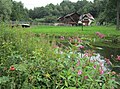 Last yards of the Eger as a completely German river at Hammermühle (City of Hohenberg an der Eger)