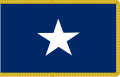 Bonnie Blue Flag