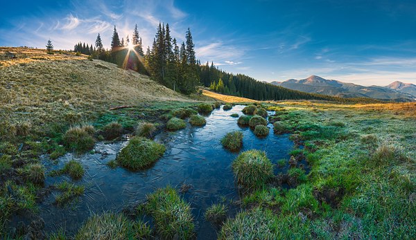 1st place — Vitalii Bashkatov, Carpathian Biosphere Reserve, Zakarpattia Oblast