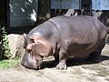 In Ostrava ZOO