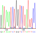 Thumbnail for version as of 13:15, 19 October 2007