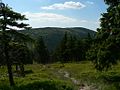 Jeseniky mountains, near my home