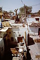 Slum improvement 1983, electricity, trees and small white washed houses (photo).