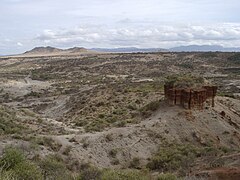 Oldupai Hairy Scrambler1.JPG