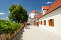 Ptuj Castle