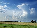 Plains in northwestern Bulgaria