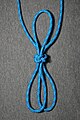 Fiador knot