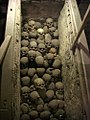 Citizen Skulls from Colonial Period of Lima