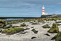 * Nomination Gardur lighthouse, Island --Ralf Roletschek 12:00, 13 September 2017 (UTC) * Promotion Good quality. --Berthold Werner 12:28, 13 September 2017 (UTC)