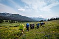 * Nomination Freshmen at Wyoming Catholic College hike in the Rocky Mountains during their three week backpacking trip. By User:Julian Kwasniewski --Sdkb 18:49, 24 September 2022 (UTC) * Decline  Oppose Compression artifacts. --Sebring12Hrs 08:04, 30 September 2022 (UTC)