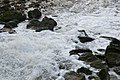 2013-01-25 The outflow from the Marine Lake at Weston-super-Mare.