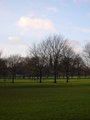 The Meadows