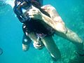 Buceo en Los Roques