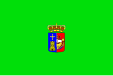 Flag of Castrillón, Principality of Asturias, Spain