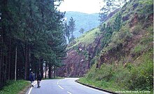 Nuwararliya road.jpg