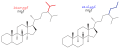 Telugu