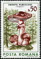 Romanian stamp (1986)