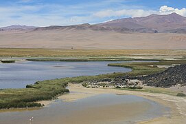 Laguna y pucara.JPG