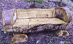 Tree trunk seats