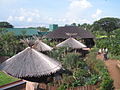 High view of African Wetlands