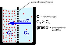 Կոնցետրացիայի գրադիենտ.JPG