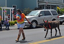 2016July4-Parade-27.jpg