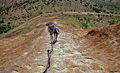 Ayers Rock trail