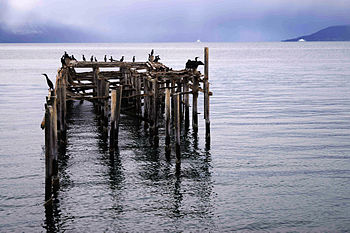 Jøvik and Great cormorants near Ullsfjorden Troms, Tromsø Photograph: Siri Uldal Licensing: CC-BY-SA-3.0