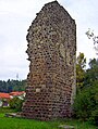 Ödenturm der Burgruine Chameregg