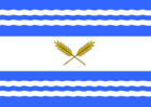 Ñiquén Flag