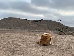 Huaca Garagay 3.jpg