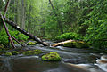 Altja river