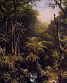 Brazilian Forest, 1864