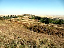 Cypress Hills Grassland.jpg