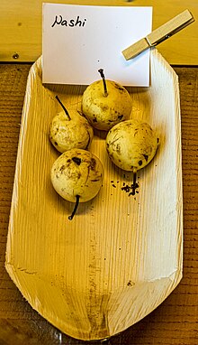 Nashi (pear) jm179250.jpg